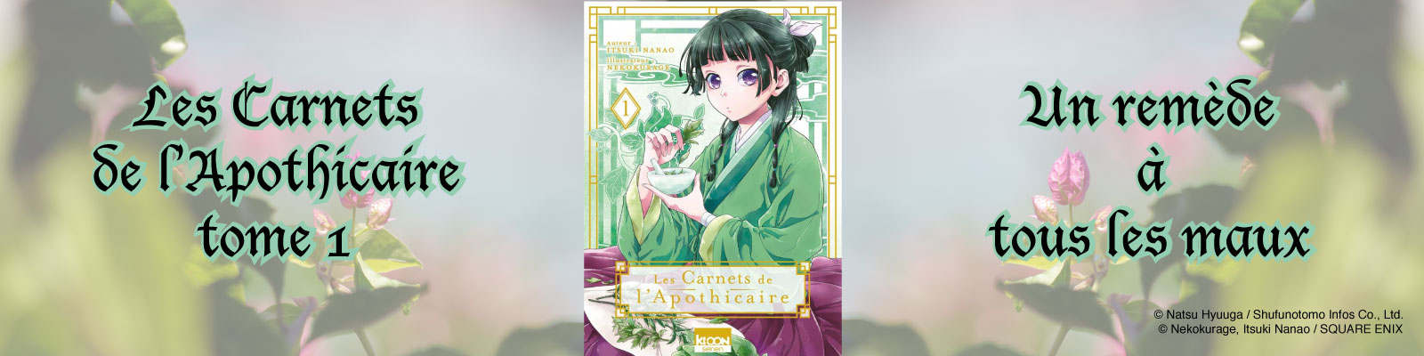 Les Carnets De L'apothicaire Combien De Tome