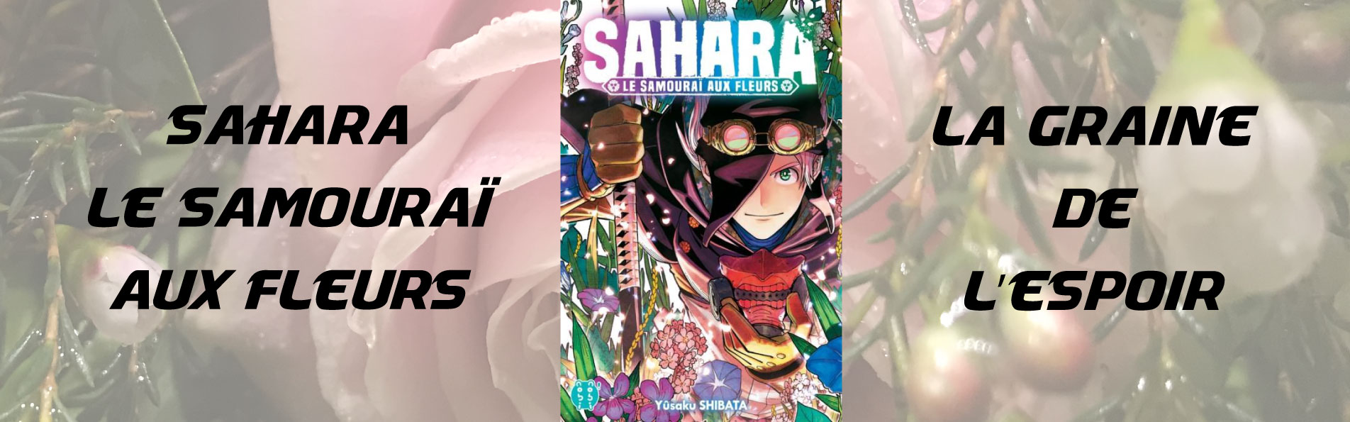 Sahara Le Samouraï Aux Fleurs