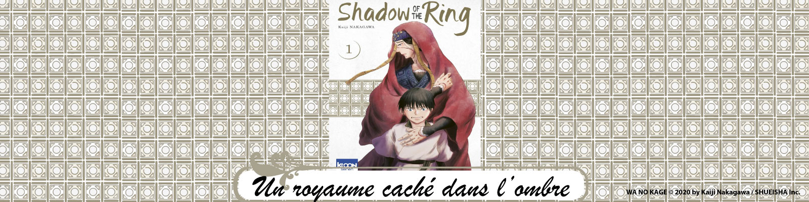 Shadow of the Ring-T1---Un-royaume-caché-dans-l’ombre-2