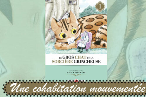 Le Gros Chat et la Sorcière grincheuse-Vol-.1
