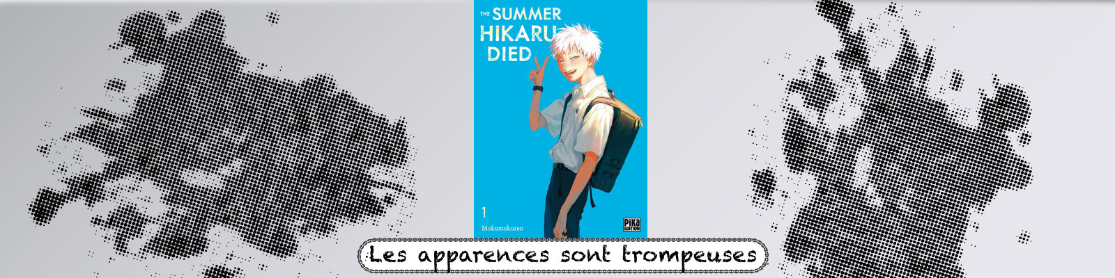 The Summer Hikari Died
