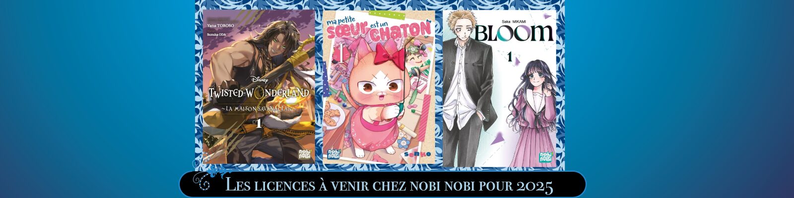 Nobi Rixa Les licences à venir chez nobi nobi pour 2025 - Esprit Otaku
