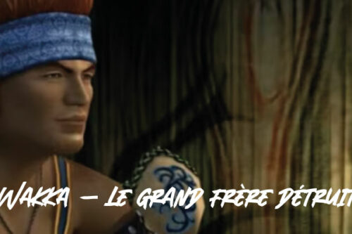 Wakka-le-grand-frère-détruit-2