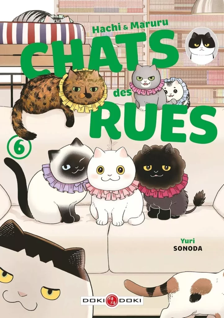 Hachi & Maruru - Chats des rues Vol.6