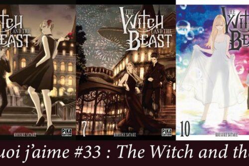Pourquoi-j’aime-#33---The Witch and the Beast-2