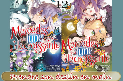 Mercedes de la lune décroissante - bannière