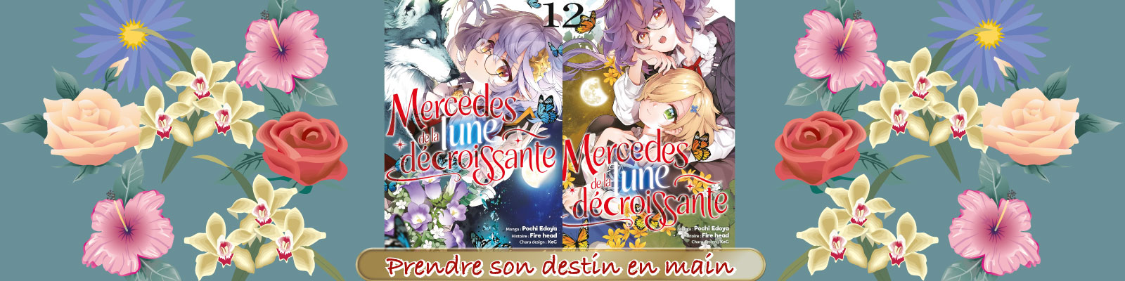 Mercedes de la lune décroissante - bannière