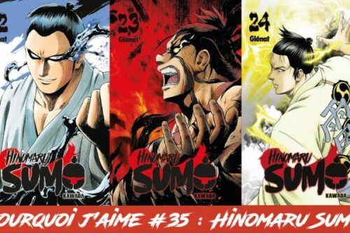 Pourquoi-j’aime-#35---Hinomaru Sumo-2