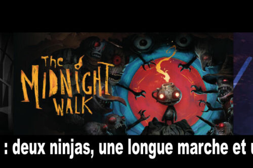 Savestate-#2---deux-ninjas,-une-longue-marche-et-un-casse-tête-2