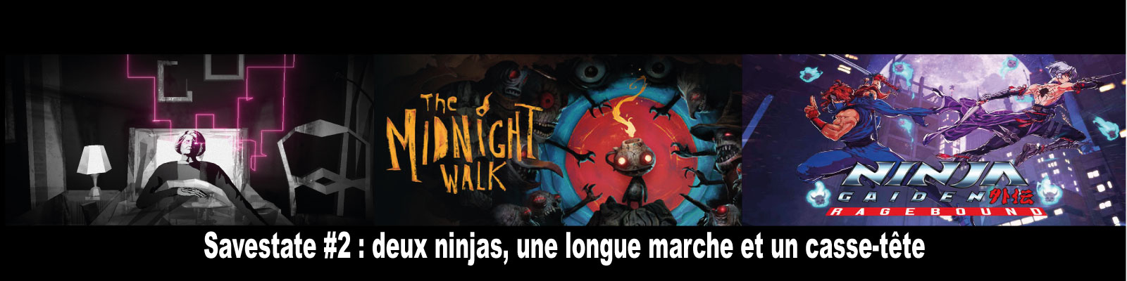 Savestate-#2---deux-ninjas,-une-longue-marche-et-un-casse-tête-2