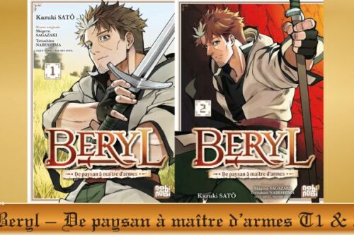 Beryl-–-De-paysan-à-maître-d’armes-T1-&-2-2