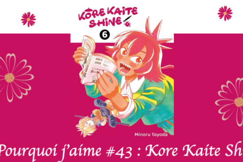 Pourquoi-j’aime-#43---Kore Kaite Shine-2
