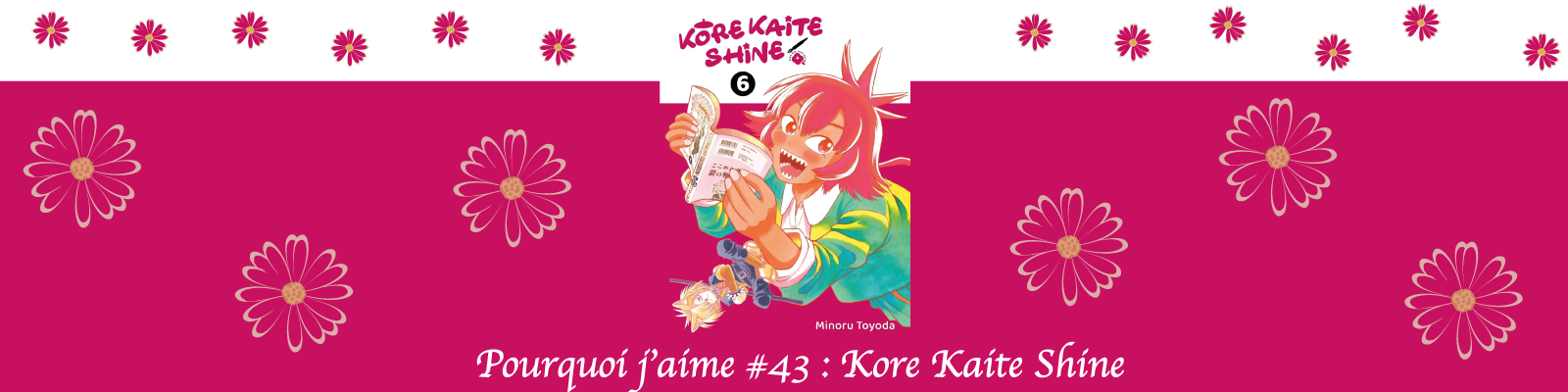 Pourquoi-j’aime-#43---Kore Kaite Shine-2