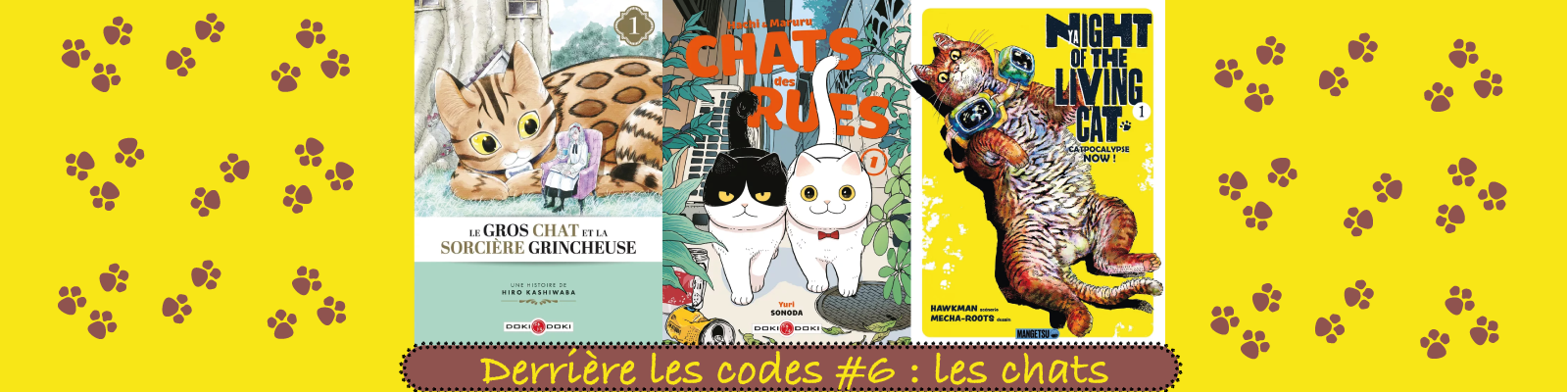 Derrière-les-codes-#6---les-chats-2