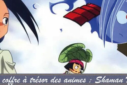 Le-coffre-à-trésor-des-animes---Shaman King-2
