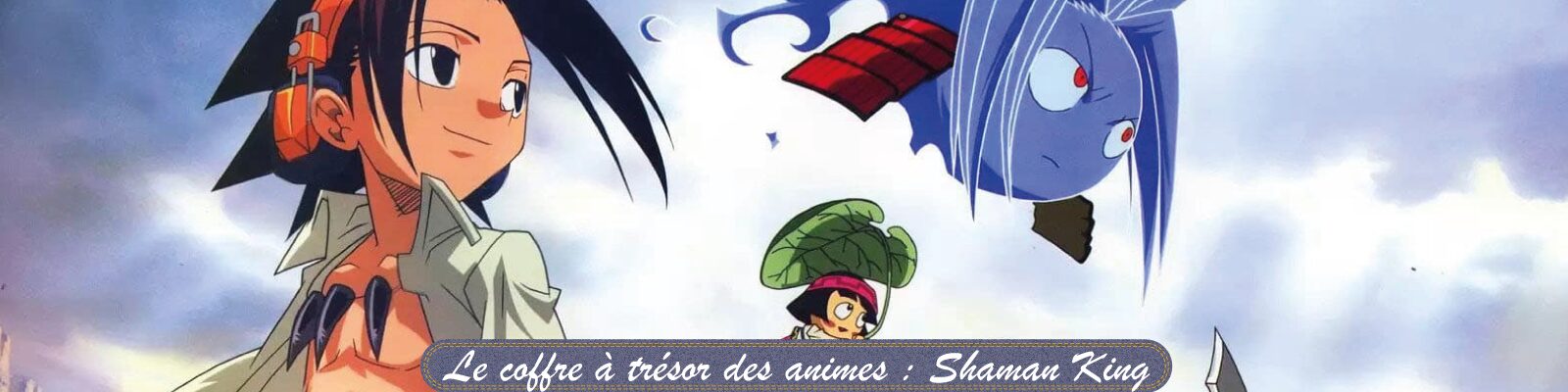 Le-coffre-à-trésor-des-animes---Shaman King-2