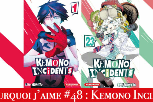 Pourquoi-j’aime-#48---Kemono Incidents-2