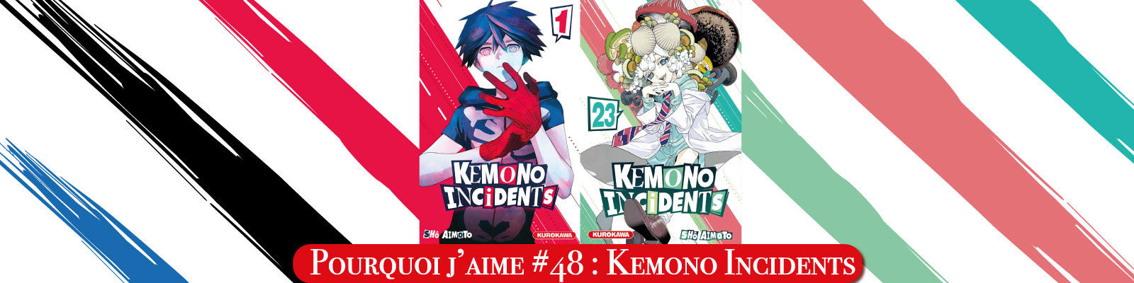 Pourquoi-j’aime-#48---Kemono Incidents-2