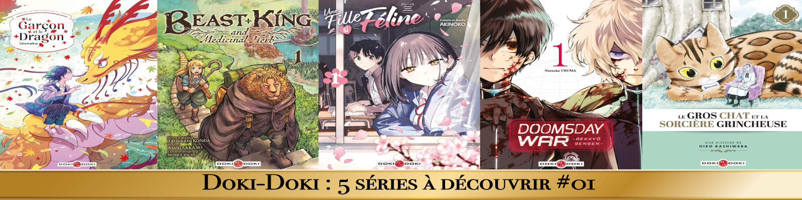 Doki-Doki---5-séries-à-découvrir-#01-2