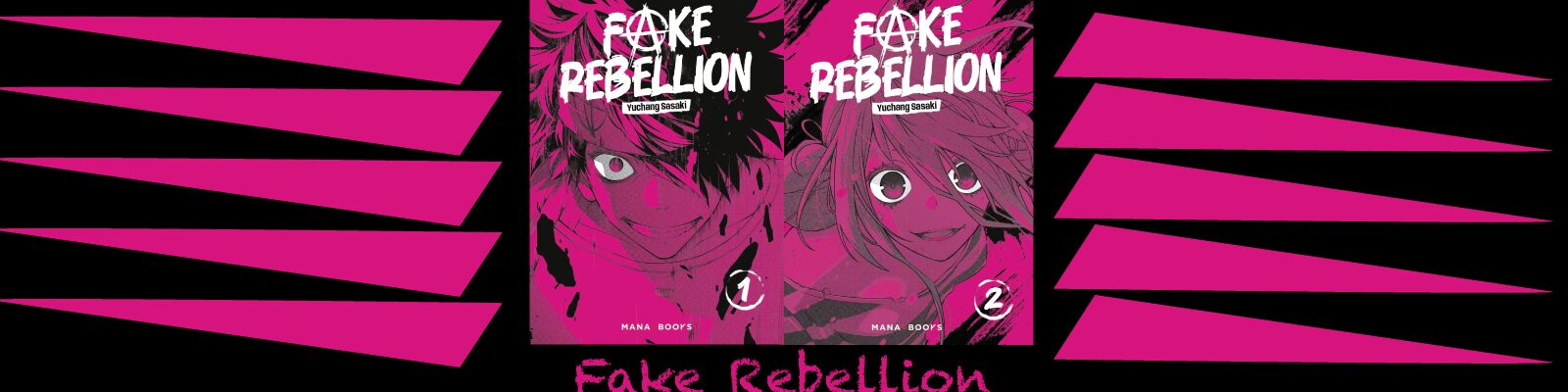 Fake Rebellion-2