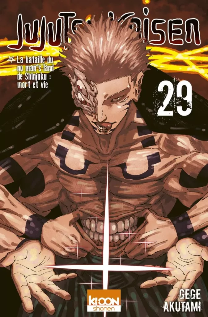 Jujutsu Kaisen Vol.29
