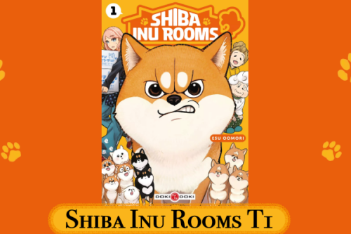 Shiba Inu Rooms-T1-2