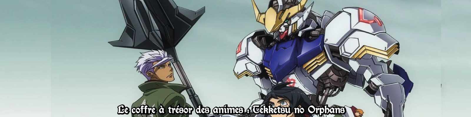 Le-coffre-à-trésor-des-animes---Tekketsu-no-Orphans-2