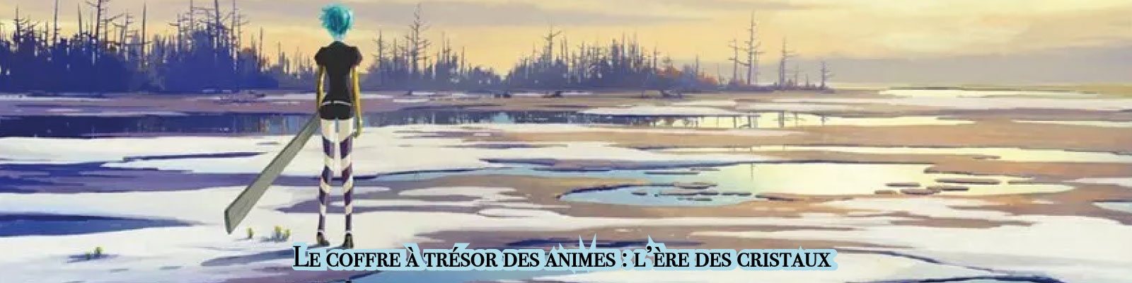 Le-coffre-à-trésor-des-animes---l’ère-des-cristaux-2