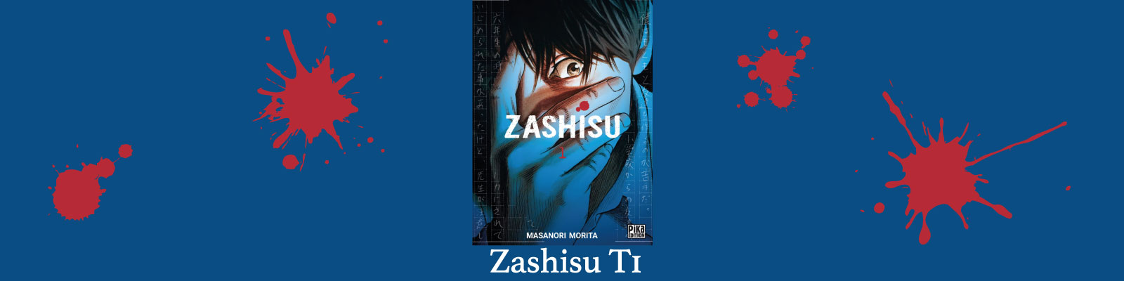 Zashisu-T1-2