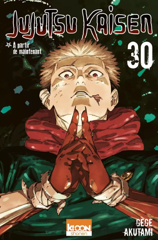 Jujutsu Kaisen Vol.30