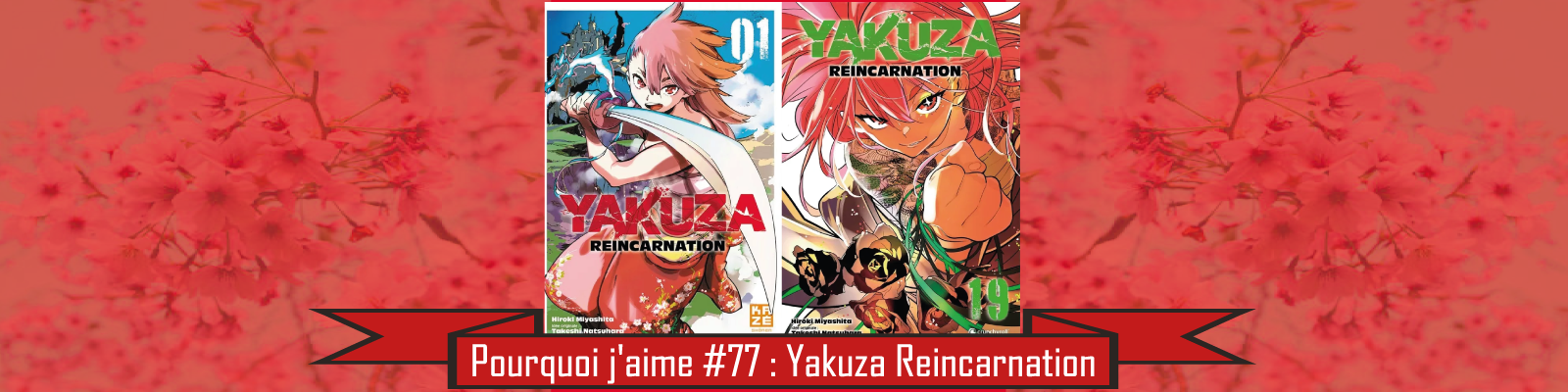 Pourquoi-j'aime-#77---Yakuza Reincarnation-2