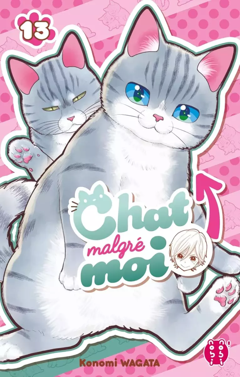 Chat malgré moi Vol.13