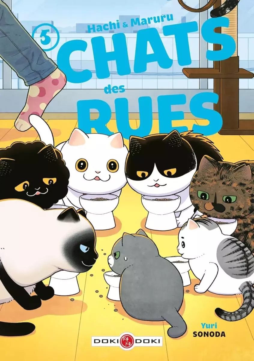 Hachi  Maruru - Chats des rues Vol.5 [04/12/24]