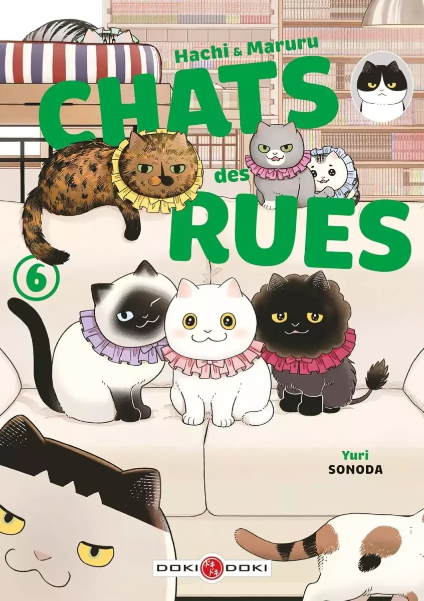 Hachi  Maruru - Chats des rues Vol.6