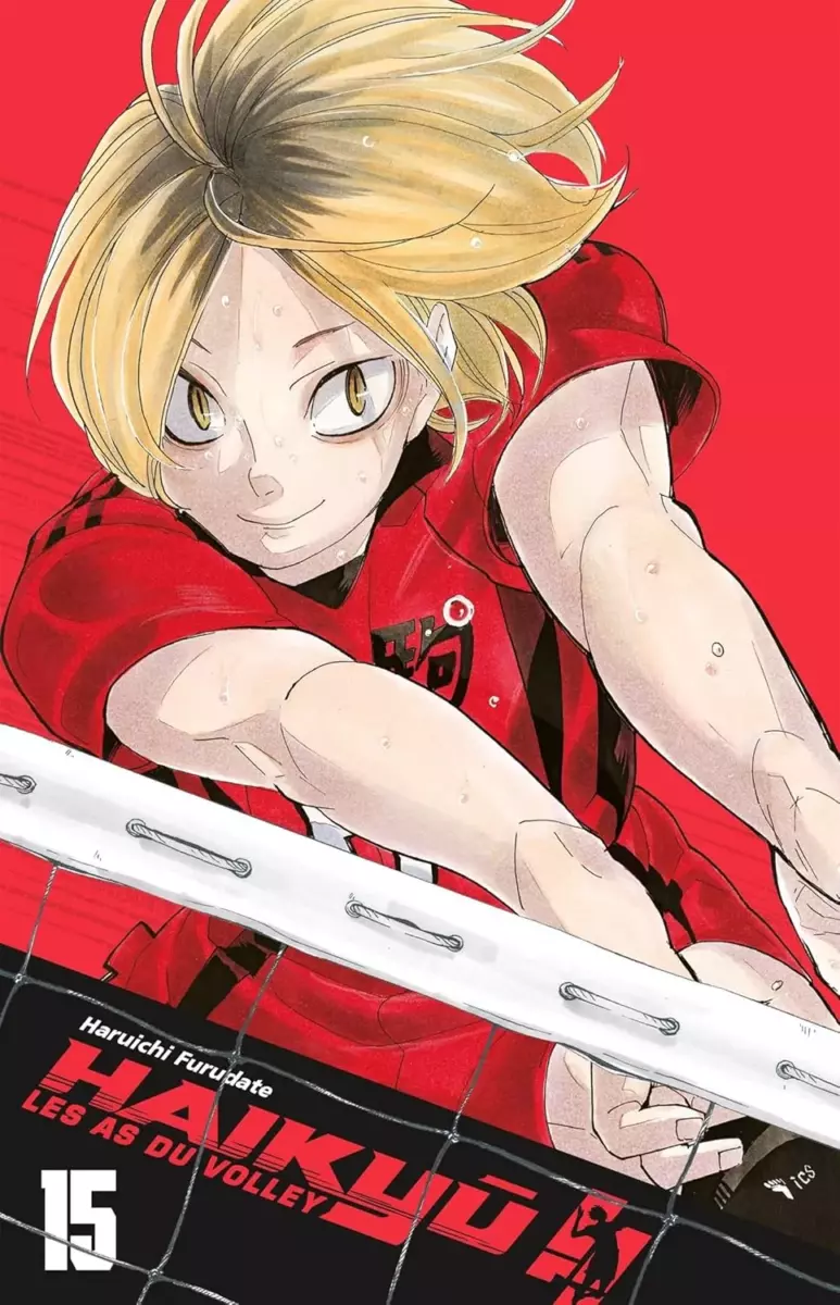 Haikyu !! - Les as du volley ball - Smash Édition Vol.15