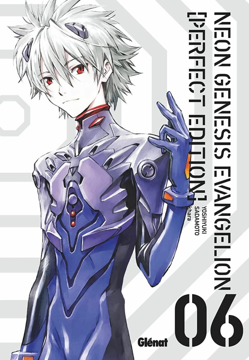 Neon Genesis Evangelion - Perfect Edition Vol.6 [05/07/23]