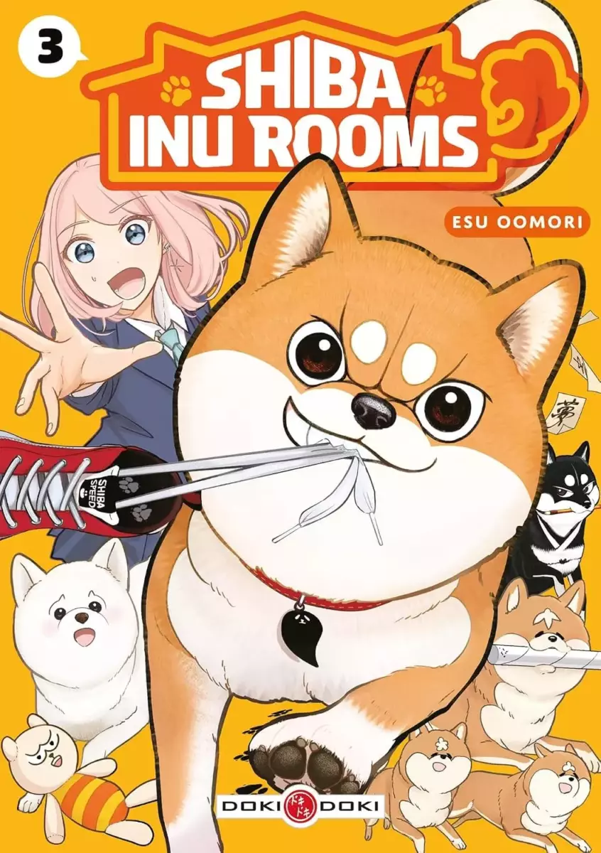 Shiba Inu Rooms Vol.3