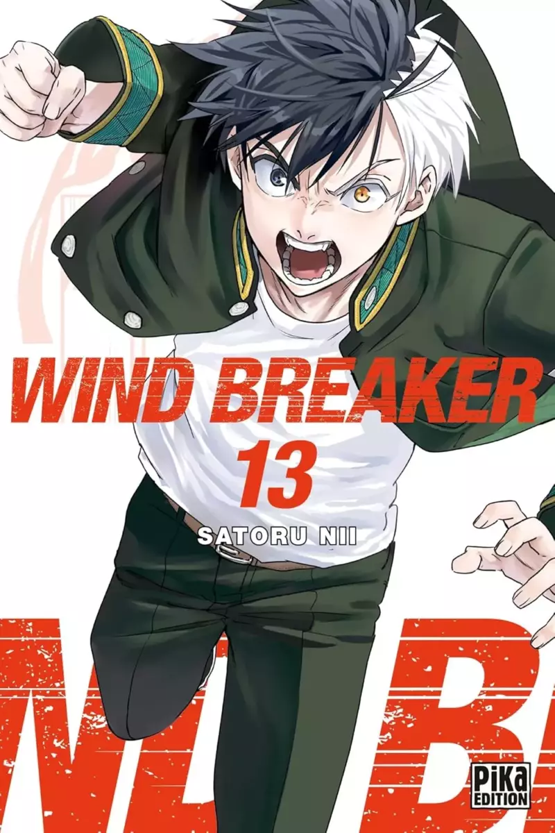 Wind Breaker Vol.13